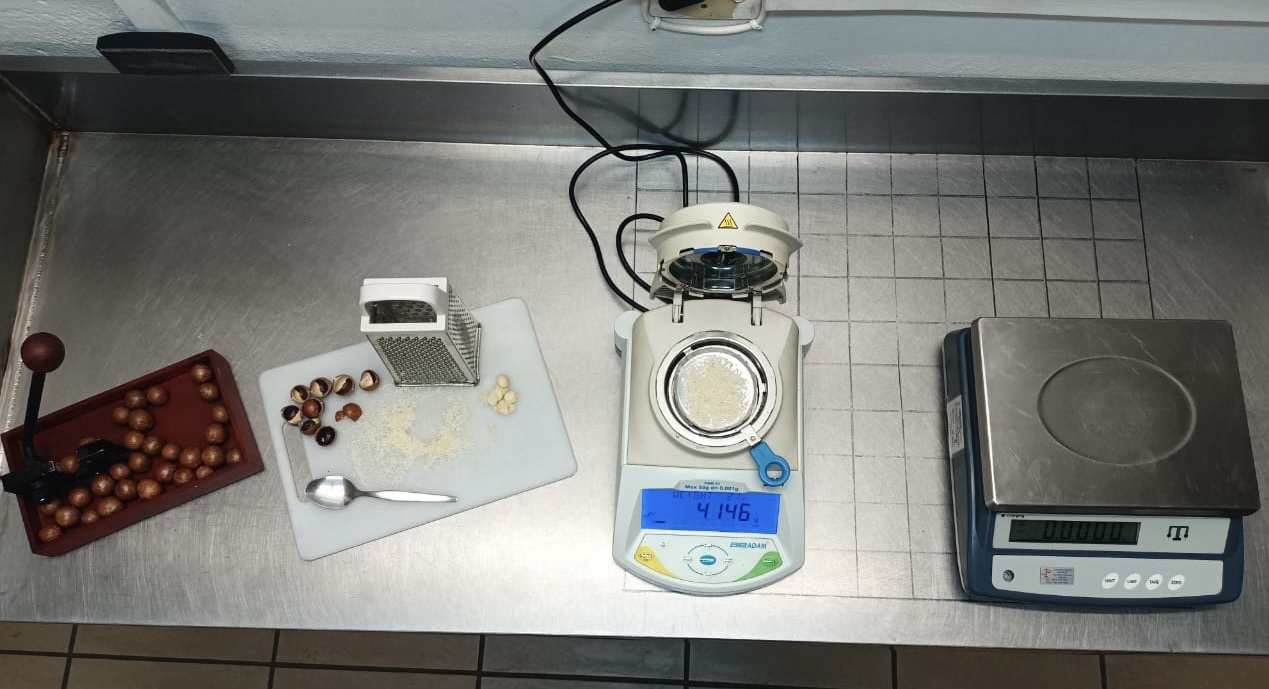 Post-Drying Testing and Quality Control Macadamian Nuts