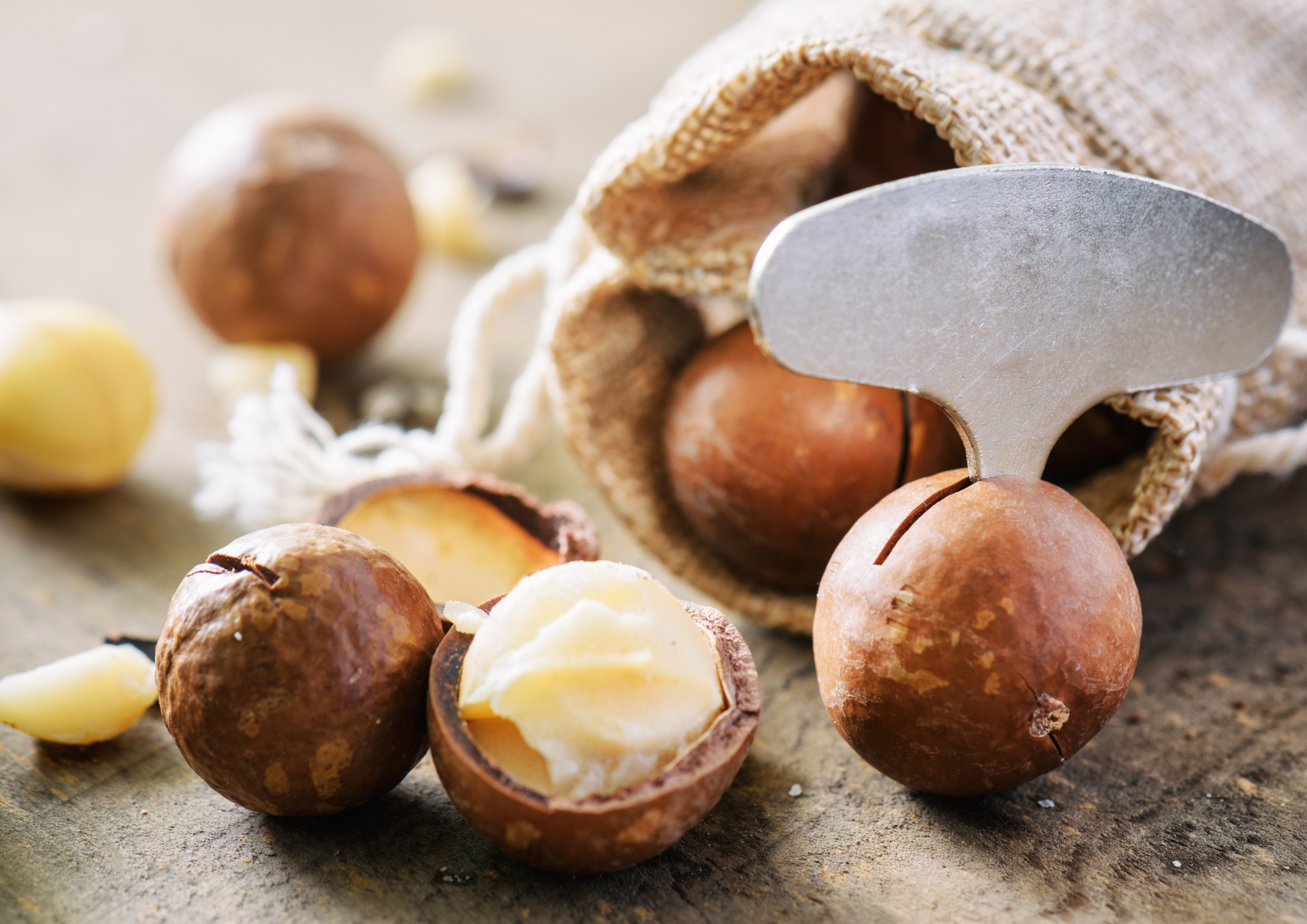 Macadamian nuts by Plath Magadamia