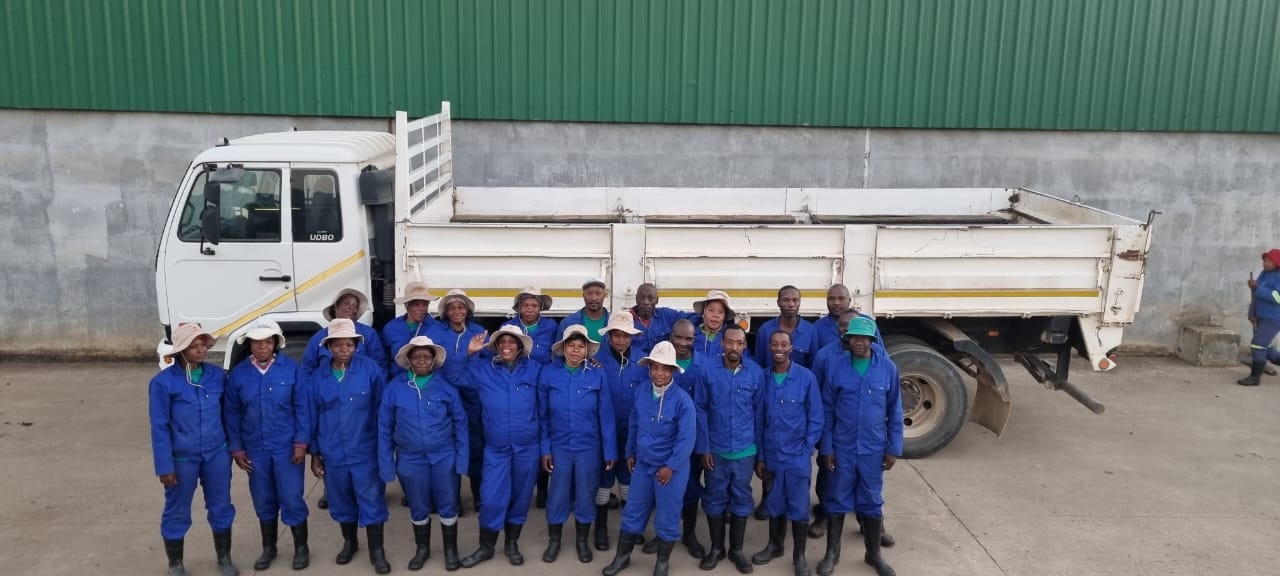 The backbone of our macadamia farm