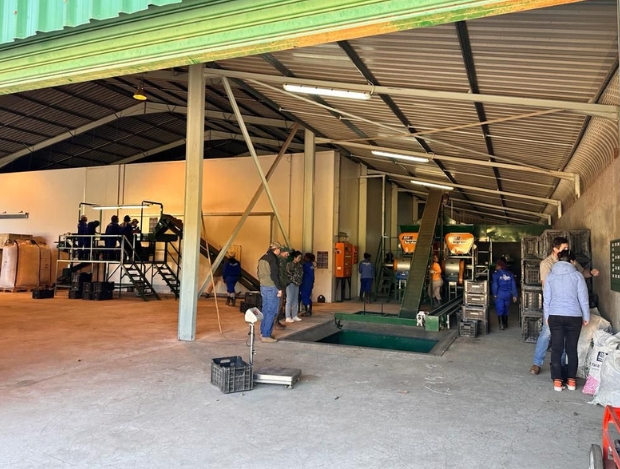 Weighing and de–husking Macadamian Nuts